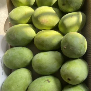 Farm Fresh Langra Mangoes
