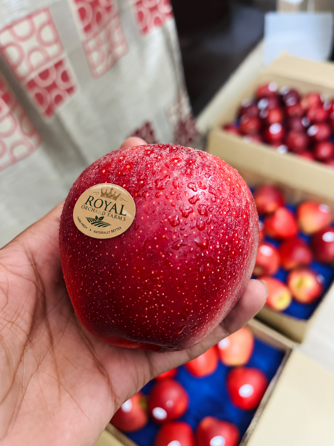 Premium Red Gala Apples