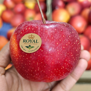 Kashmir Red Gala Apples